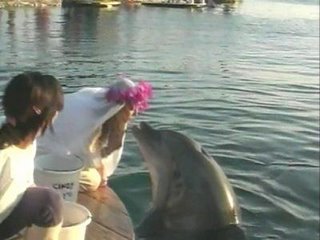 Sharon Tendler with husband Cindy, a dolphin