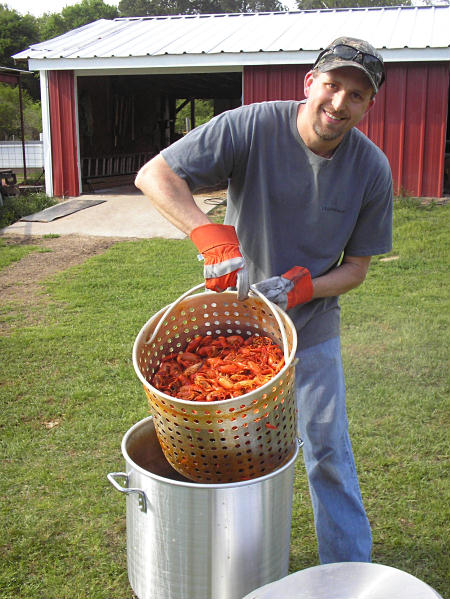 A man pulling crawfish up in a basket.