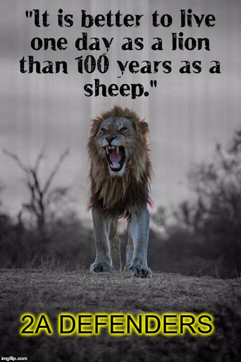 Lion picture and Benito Mussolini Quote, Better to live a day as a lion than 100 years as a sheep