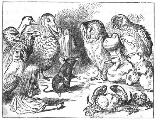 John Tenniel illustration from the chapter “A Caucus-Race and a Long Tale,” from Lewis Carrol’s novel Alice’s Adventures in Wonderland