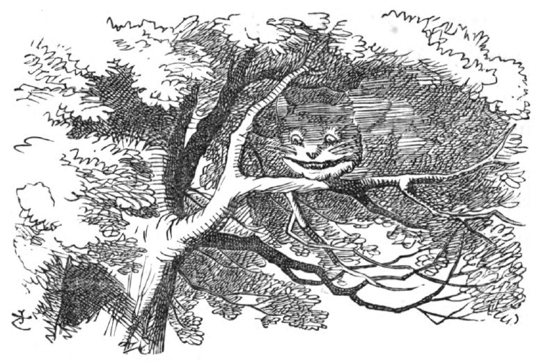 John Tenniel illustration from the chapter “Pig and Pepper,” from Lewis Carrol’s novel Alice’s Adventures in Wonderland: The Chesthire cat disappearing