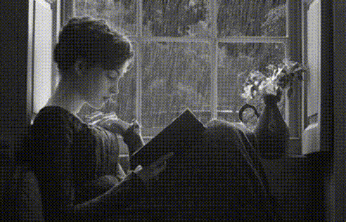 Animated loop of a girl reading a book beside a rainy window